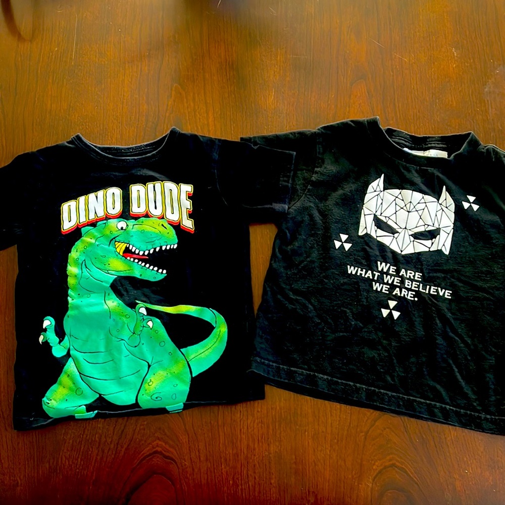 Bundle of 2 short sleeve shirts